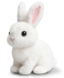 Rabsy image