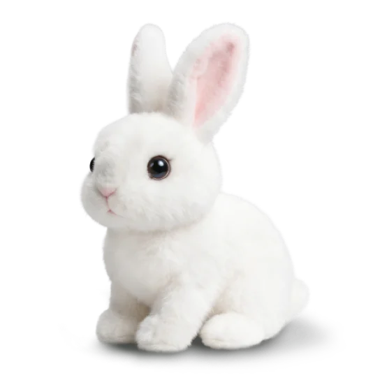 Rabsy image